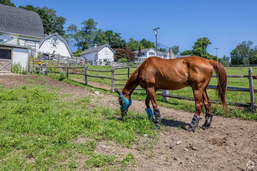 More Photos Of 11 Charlottesburg Rd, Boonton Horse Stables For Sale