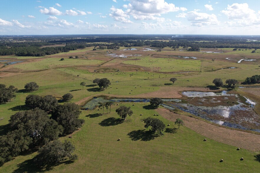 More Photos Of 1740 CR 48, Leesburg Land For Sale