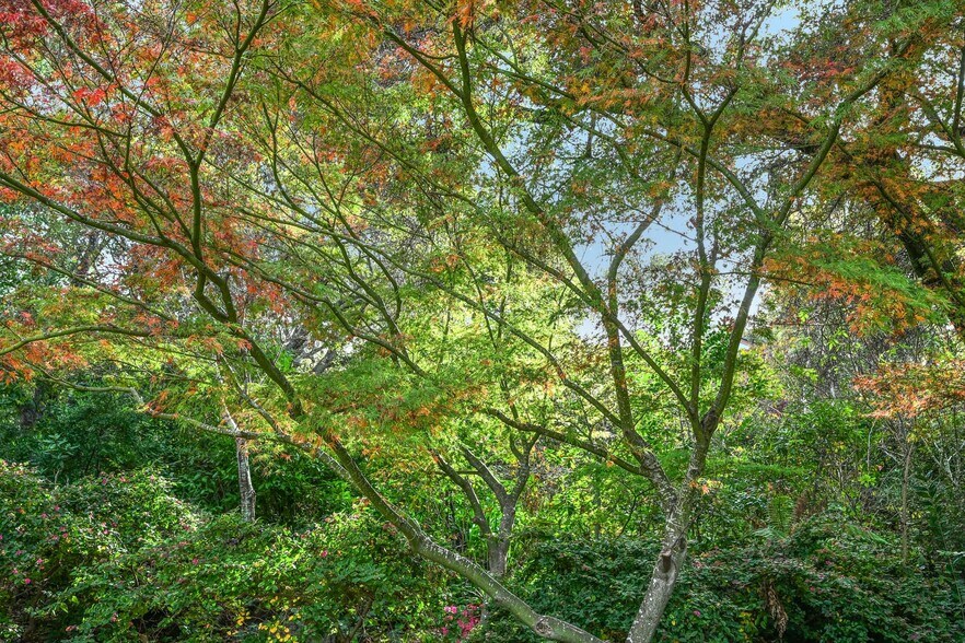 More Photos Of 1605 Lucas Valley Rd, San Rafael Healthcare For Sale