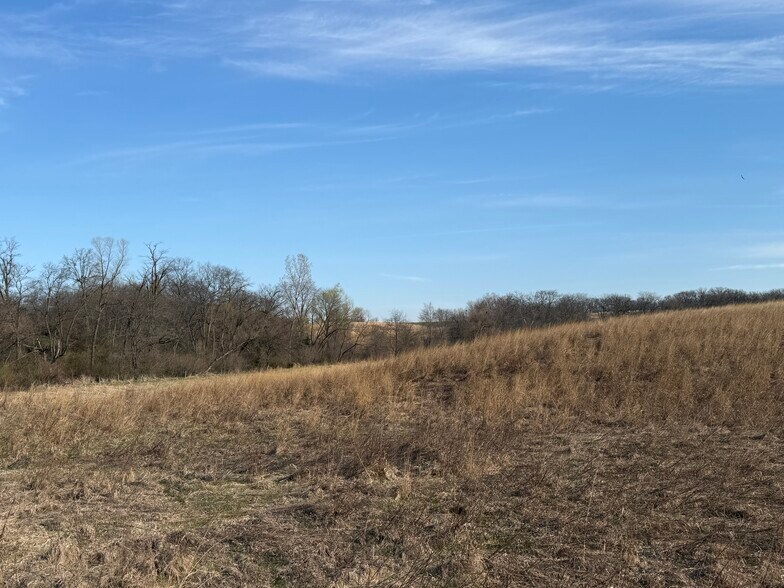 More Photos Of 23962 155th St, Columbus Junction Land For Sale