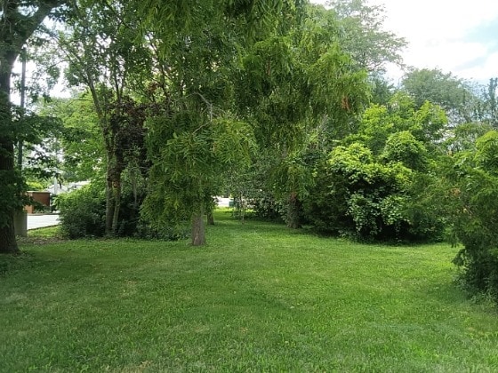 More Photos Of 16724 Oak Park Ave, Tinley Park Land For Sale