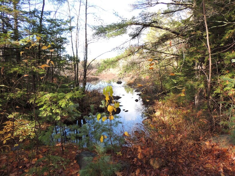 More Photos Of 140 Chickville Rd, Ossipee Land For Sale