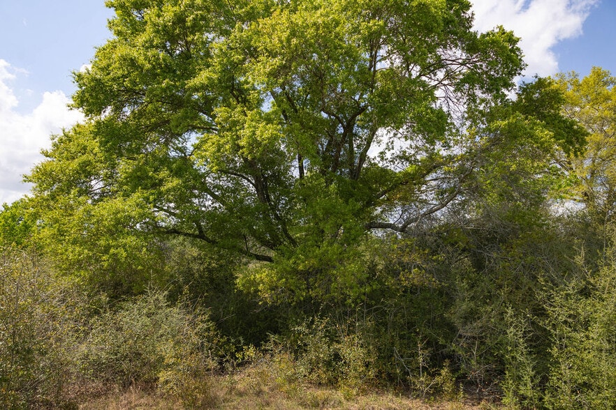 More Photos Of US 84 hwy, Newton Land For Sale