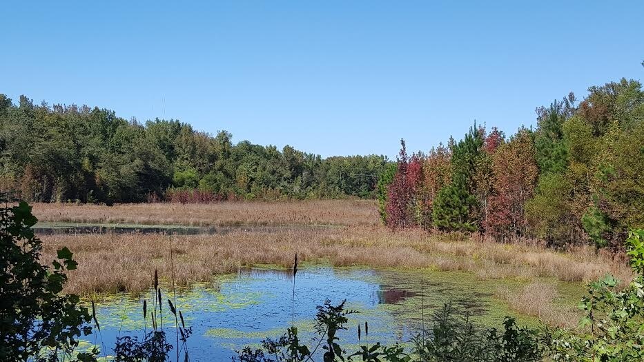Primary Photo Of 0 Silver Bluff Rd, Aiken Land For Sale