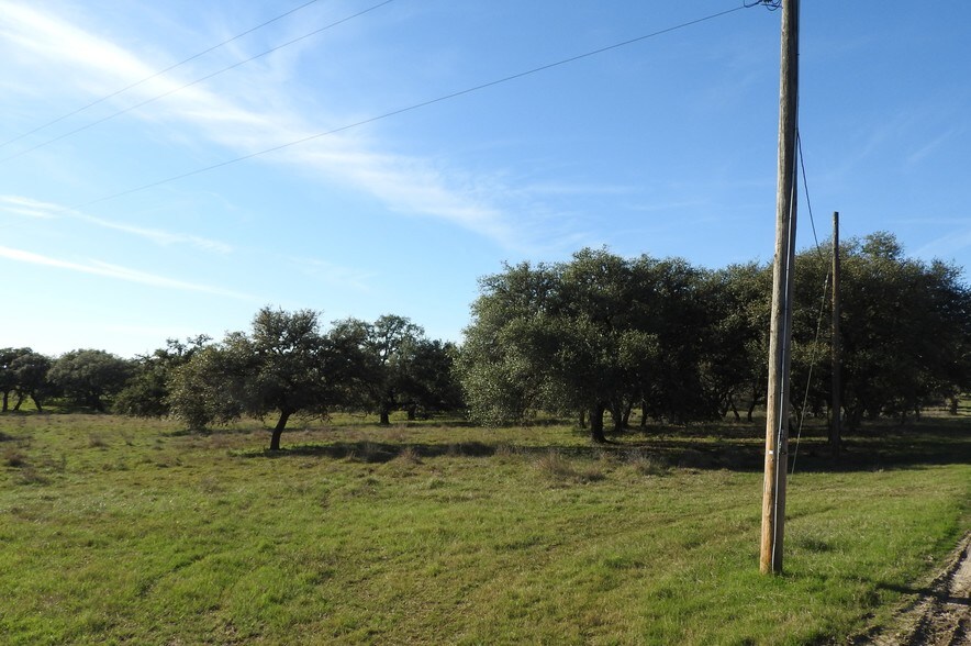 More Photos Of Orange Ln, Beeville Land For Sale