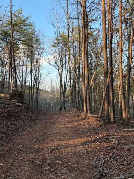 More Photos Of 260 Arnold Rd NE, Fairmount Land For Sale