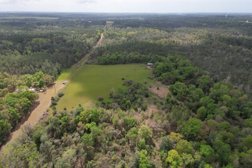 More Photos Of 12960 County Road 48, Silverhill Land For Sale