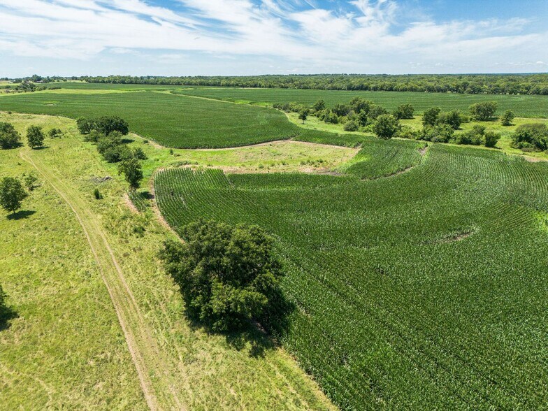 More Photos Of 25140 S Ratner Rd, Lyndon Land For Sale