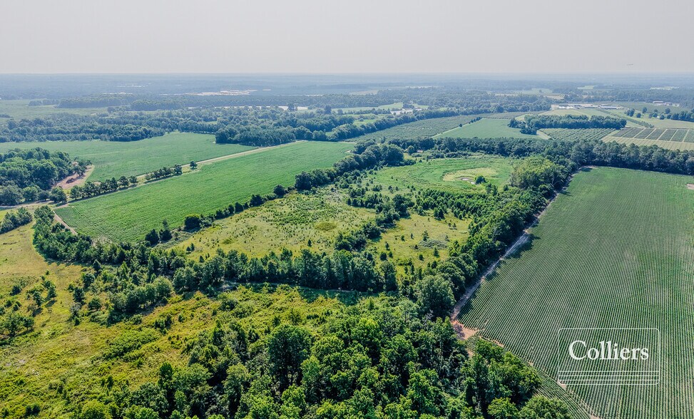 More Photos Of Joes Trail, Monetta Land For Sale