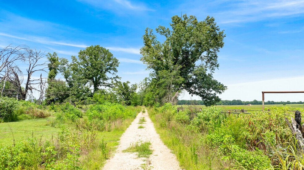 More Photos Of 449 County Road 1357, Clarksville Land For Sale