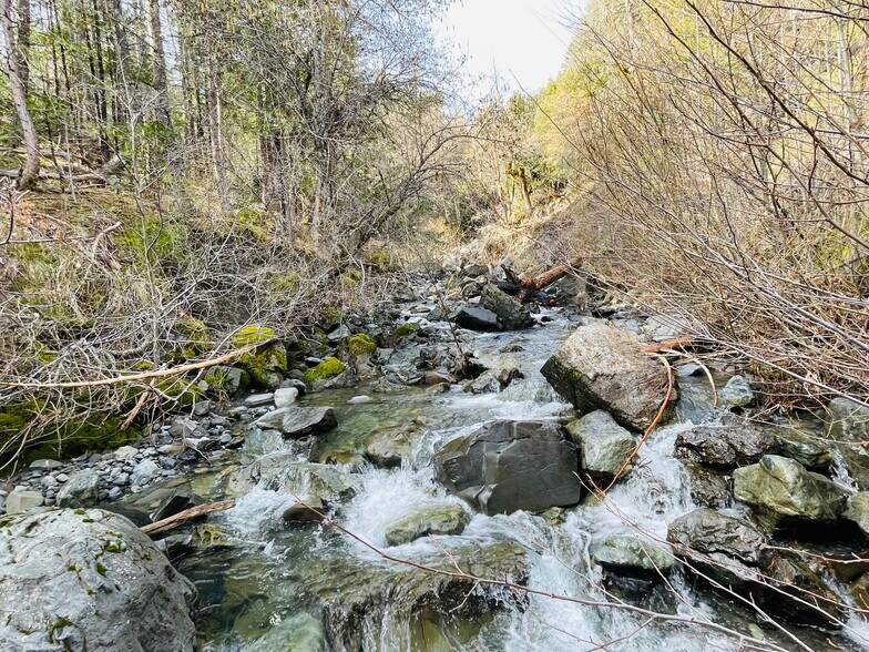 More Photos Of 111 Fs 1s14, Mad River Multifamily For Sale