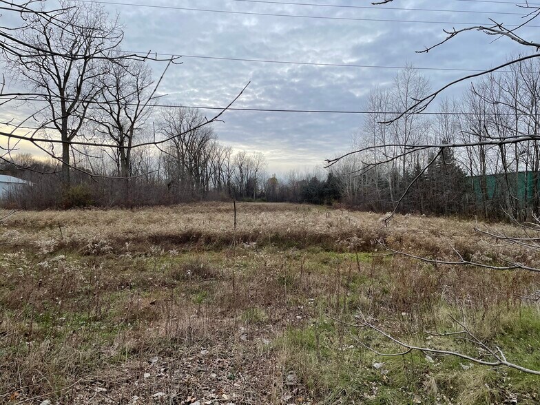 More Photos Of 0 Van Dyke Rd, Almont Township Land For Sale