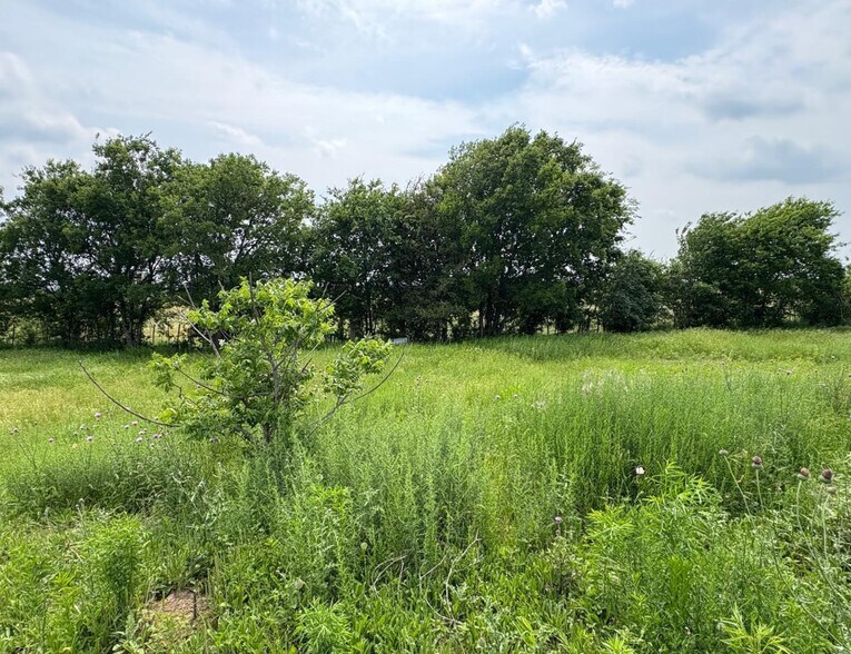 More Photos Of TBD County Road 215, Coolidge Land For Sale