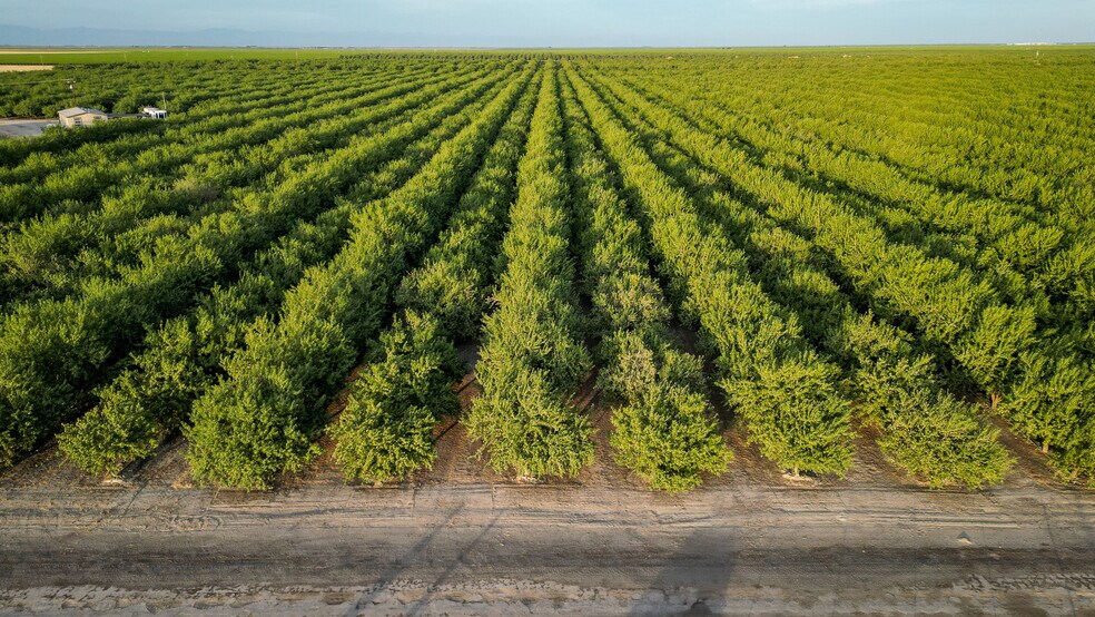 More Photos Of 11885 Road 9, Firebaugh Land For Sale