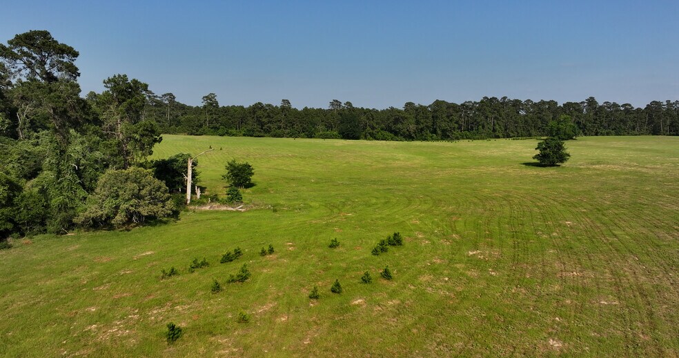 More Photos Of 2268 FM 1486, Montgomery Land For Sale