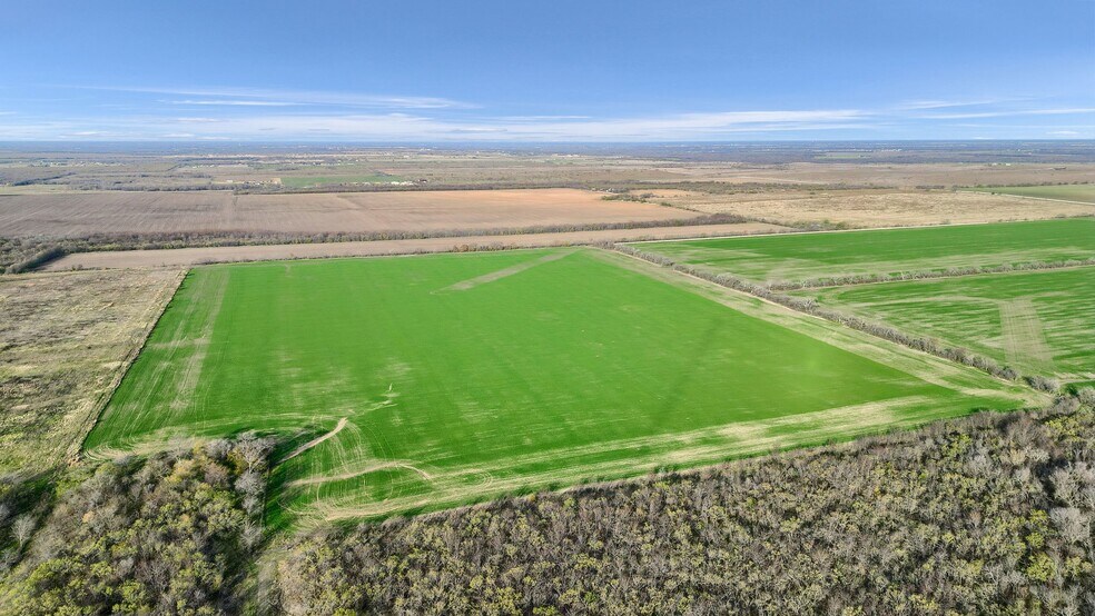 More Photos Of TBD Wall St Rd, Gunter Land For Sale