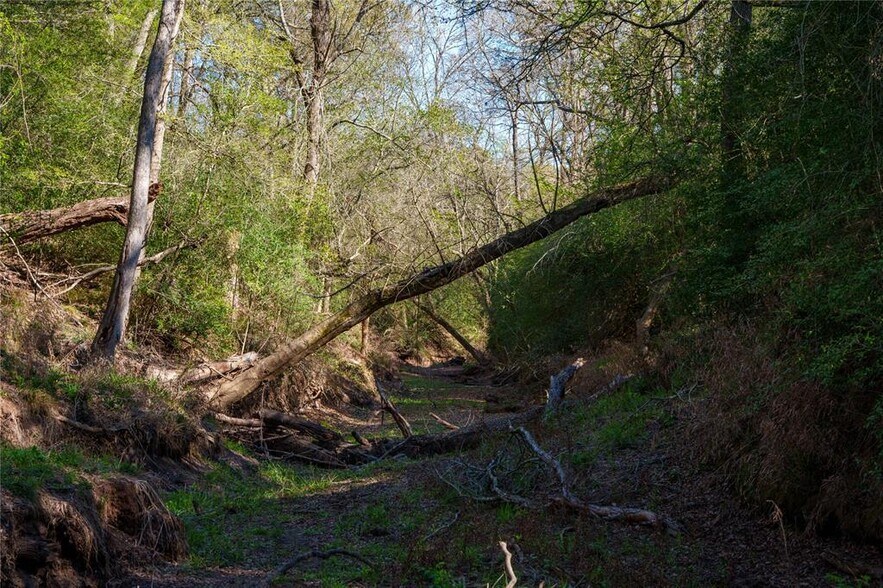 More Photos Of 1700 Co 216 rd, Giddings Land For Sale