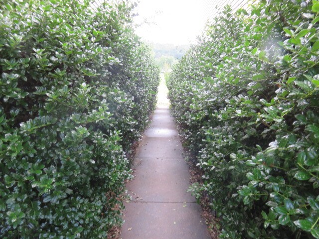 More Photos Of 18-20 E Main St, Altus Apartments For Sale