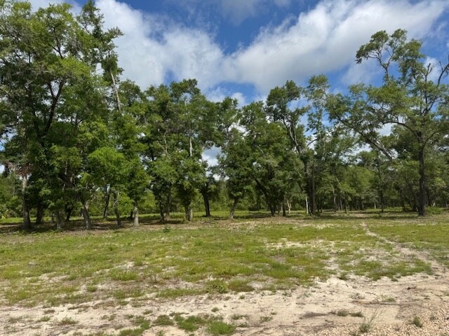 More Photos Of 605 Floyd Gray Rd, Crawfordville Self Storage For Sale