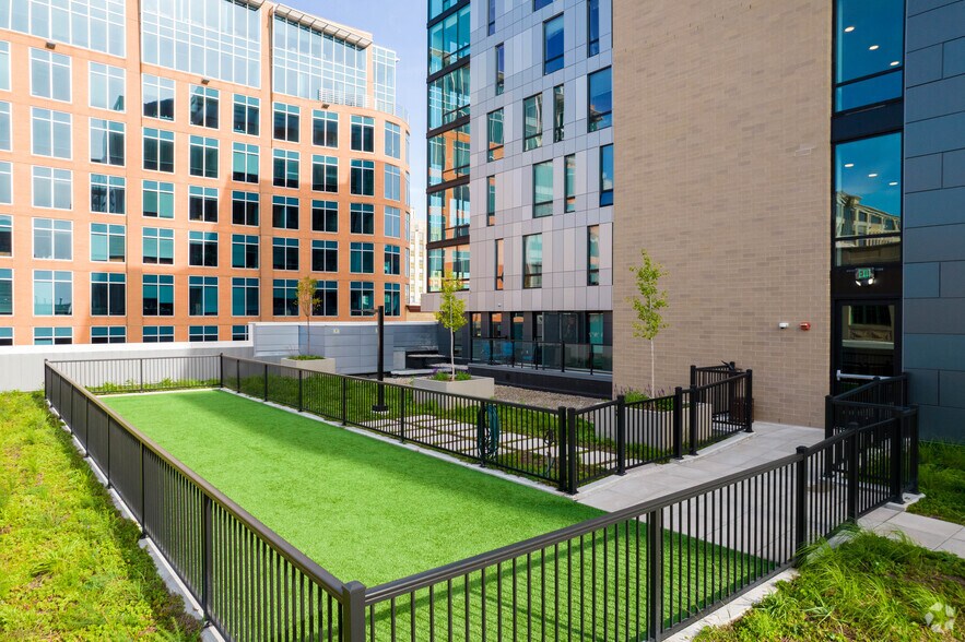 More Photos Of 216 S Pinckney St, Madison Apartments For Lease