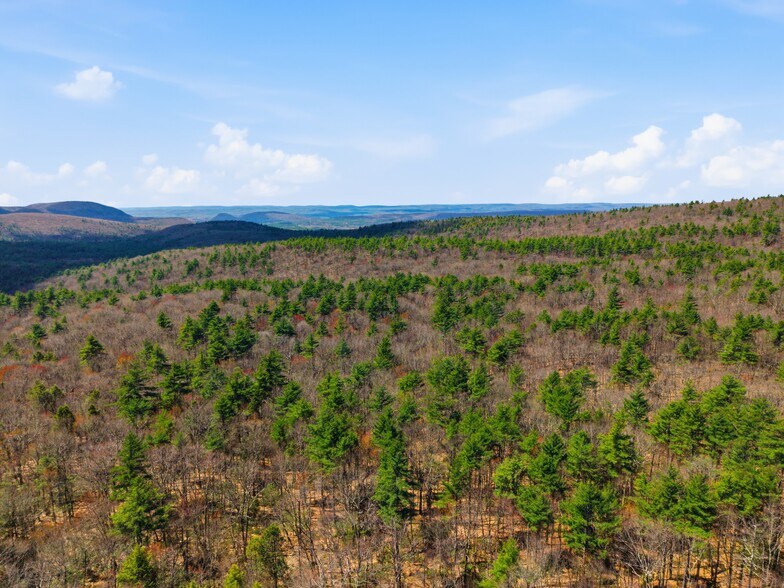 More Photos Of 0 Dry Hill Road, Montague Land For Sale