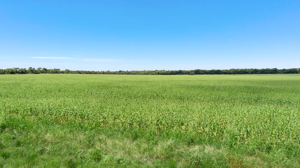 Primary Photo Of CR-1067, Greenville Land For Sale