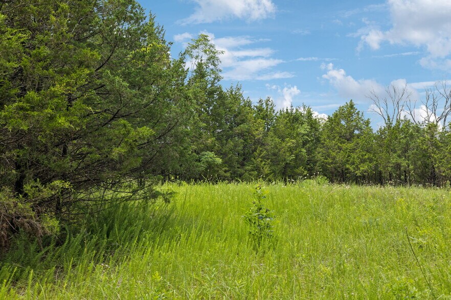 More Photos Of 7665 Shelbyville Pike, Christiana Land For Sale