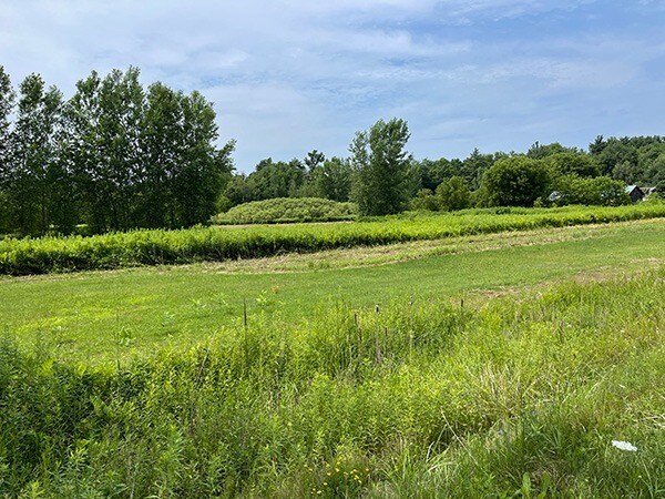 More Photos Of 1023 Ethan Allen Hwy, Fairfax Land For Sale