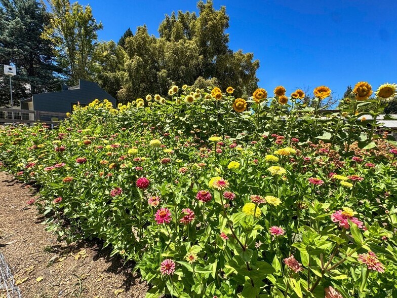 More Photos Of 38364 Wisteria Way, Davis Land For Sale