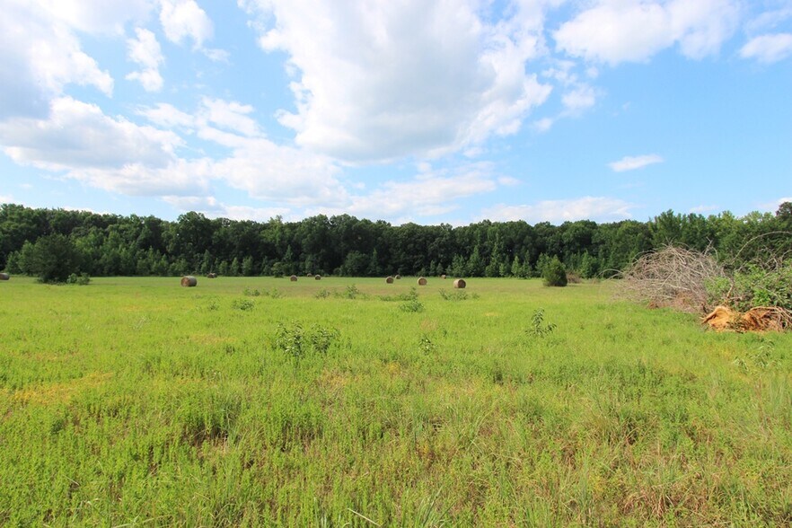 More Photos Of 278 Highway 64 E, Conway Land For Sale