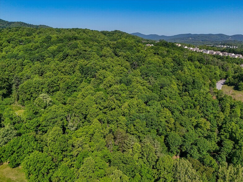 More Photos Of 0 Merriman Rd, Roanoke Land For Sale