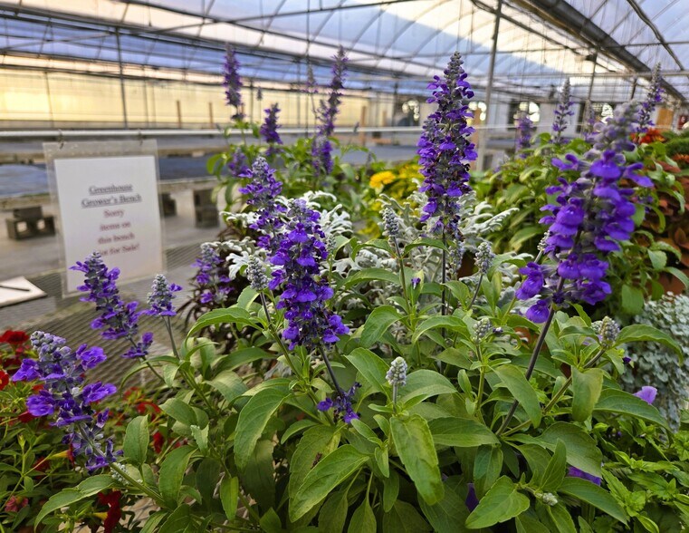 More Photos Of 22085 580th Ave, Ames Specialty For Sale