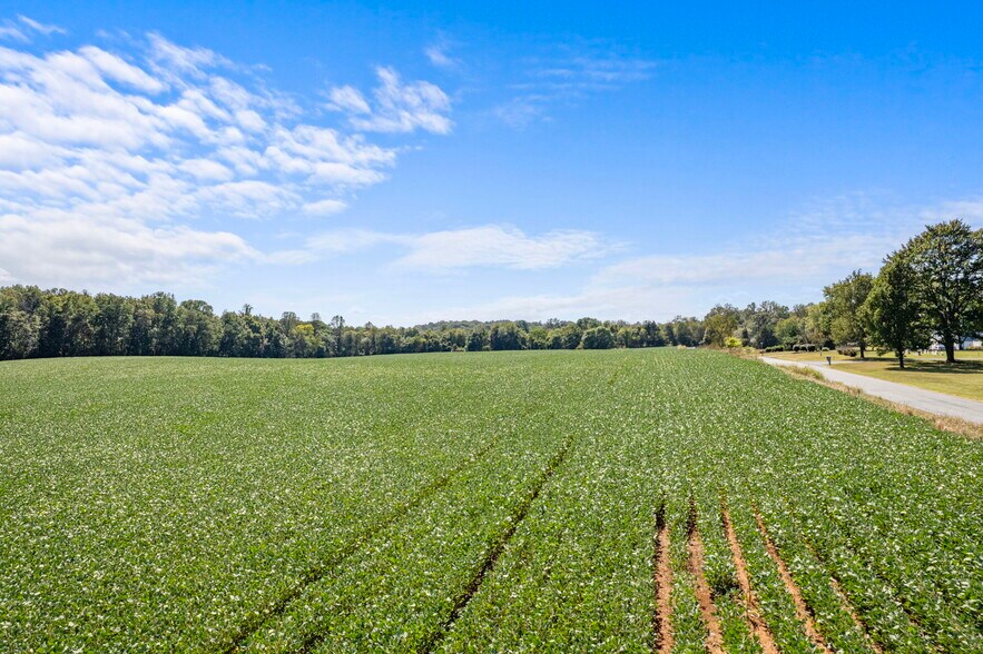 More Photos Of Moore Road @ Forest Lane, Ruckersville Land For Sale