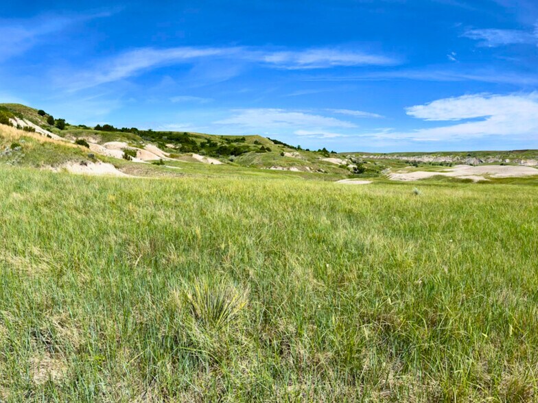 More Photos Of 24900 Spring Draw Rd, Scenic Land For Sale
