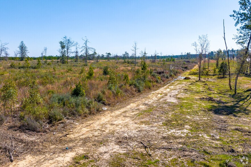 More Photos Of 0 U.S. HWY 59, Loxley Land For Sale
