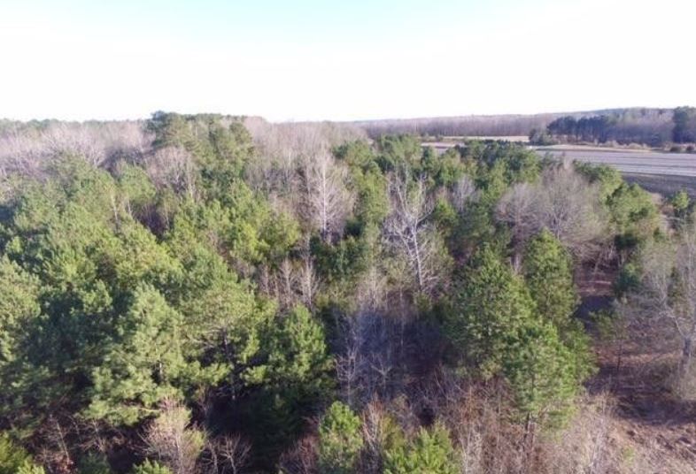 More Photos Of 179 Wood Ln, Carbon Hill Land For Sale