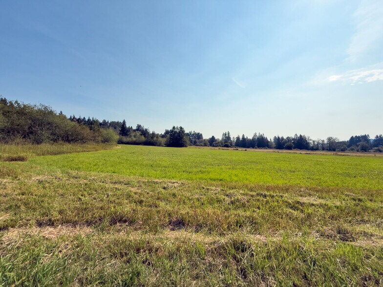 More Photos Of 104 Bills Ln, Onalaska Land For Sale