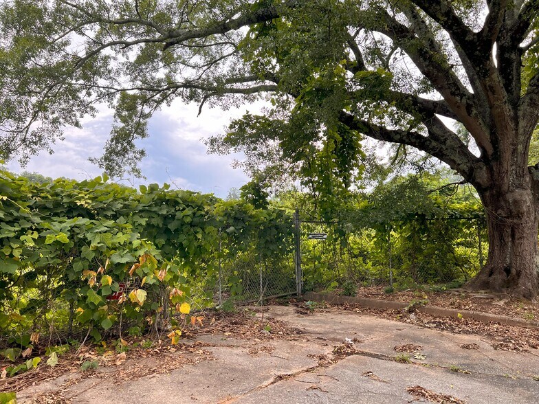 More Photos Of 200 S John St, Walhalla Land For Sale