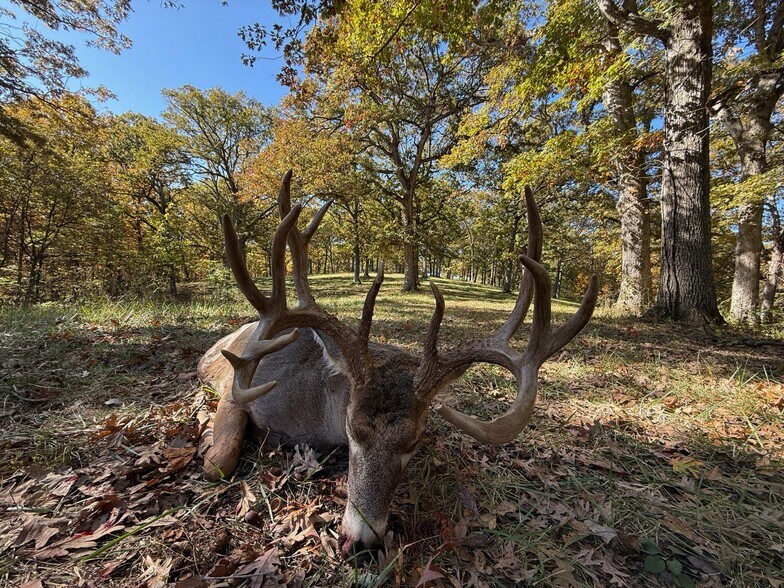 More Photos Of Highway D (77.2+/- Acres) Tract 1, Eolia Land For Sale