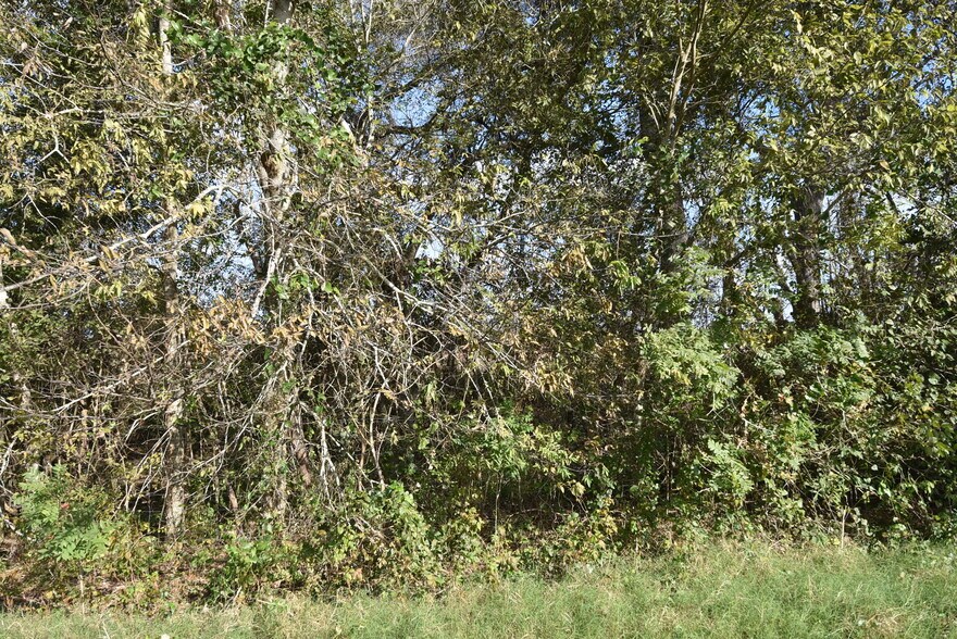 More Photos Of 201 County Road 224, Wharton Land For Sale