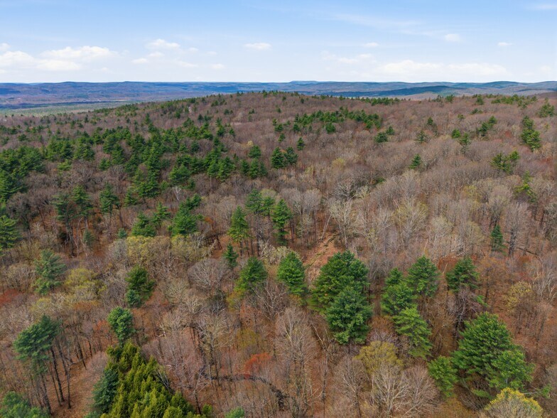 More Photos Of 0 Dry Hill Road, Montague Land For Sale