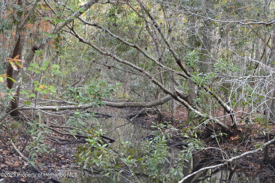 More Photos Of 0 Algood Rd, Spring Hill Land For Sale