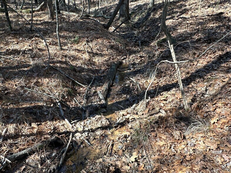 More Photos Of 3472 Prior Station Rd, Cedartown Land For Sale