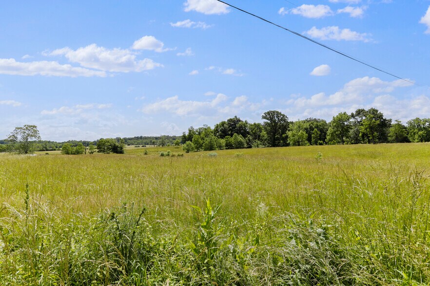 More Photos Of 3648 Dominion Rd, Gerrardstown Land For Sale