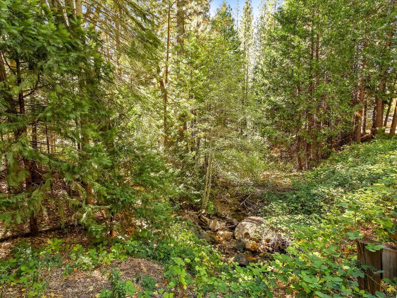 More Photos Of 13651 US Hwy 50, Kyburz Land For Sale