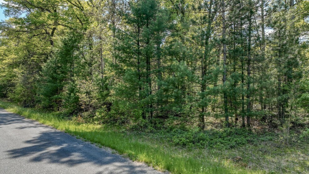 More Photos Of 8667 Lakeside rd, Willard Land For Sale