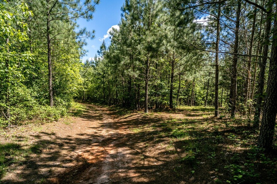 More Photos Of tbd Green Creek Rd, Schuyler Land For Sale