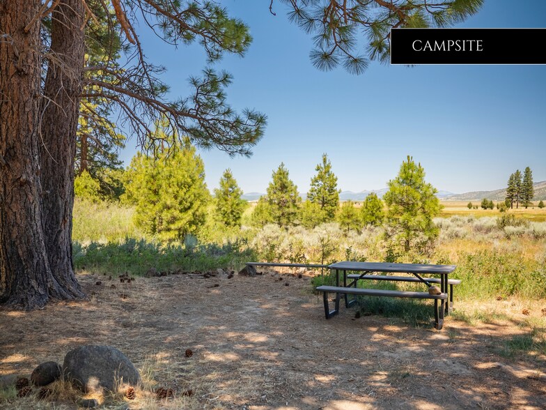 More Photos Of 521 Campbell Hot Springs Rd, Sierraville Hotel For Sale