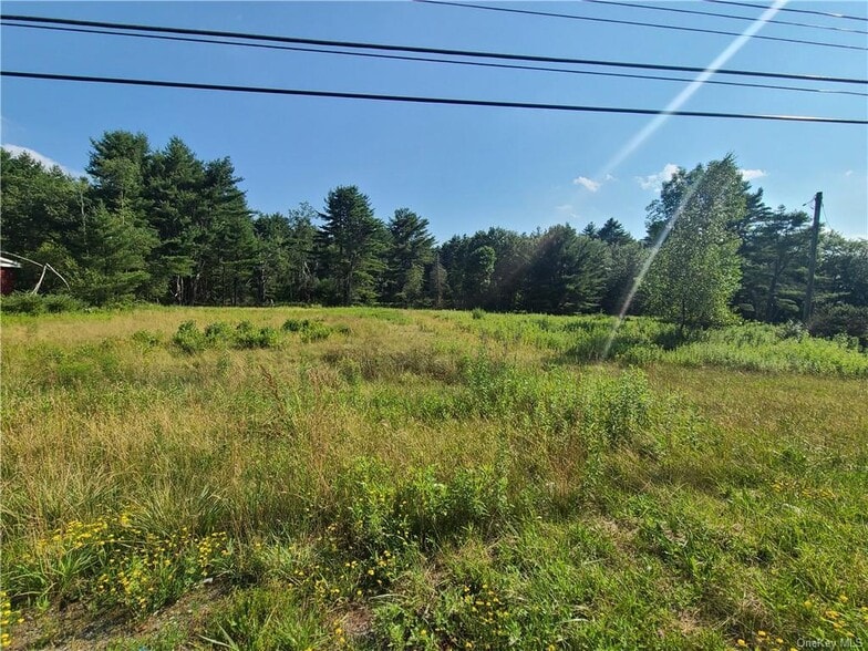 More Photos Of 269 State Route 17B, Monticello Land For Sale