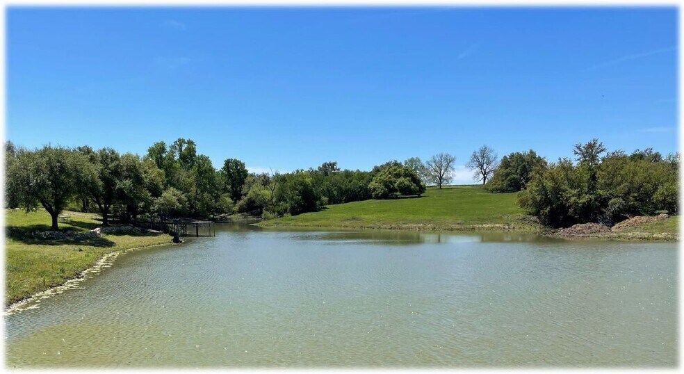 More Photos Of 435 County Road 470, Chilton Land For Sale